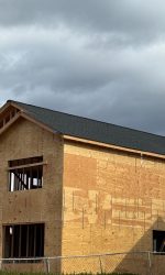 WhatsApp Image 2025-11-14 at 22.22.36 (1)